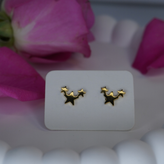 Small "In the Stars" Gold  Stud Stainless Steel Earrings